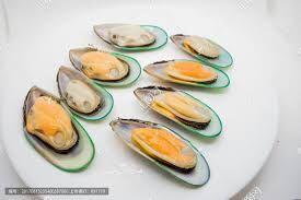 Mussel