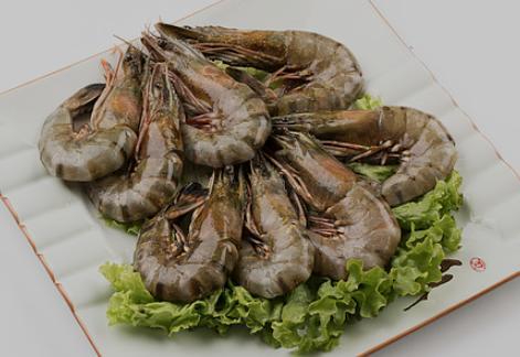 Shrimp w Head