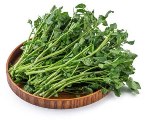 Watercress