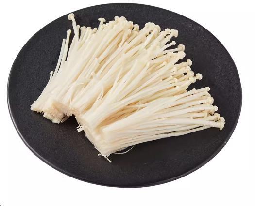 Enoki Mushroom