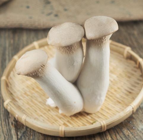 King Oyster Mushroom